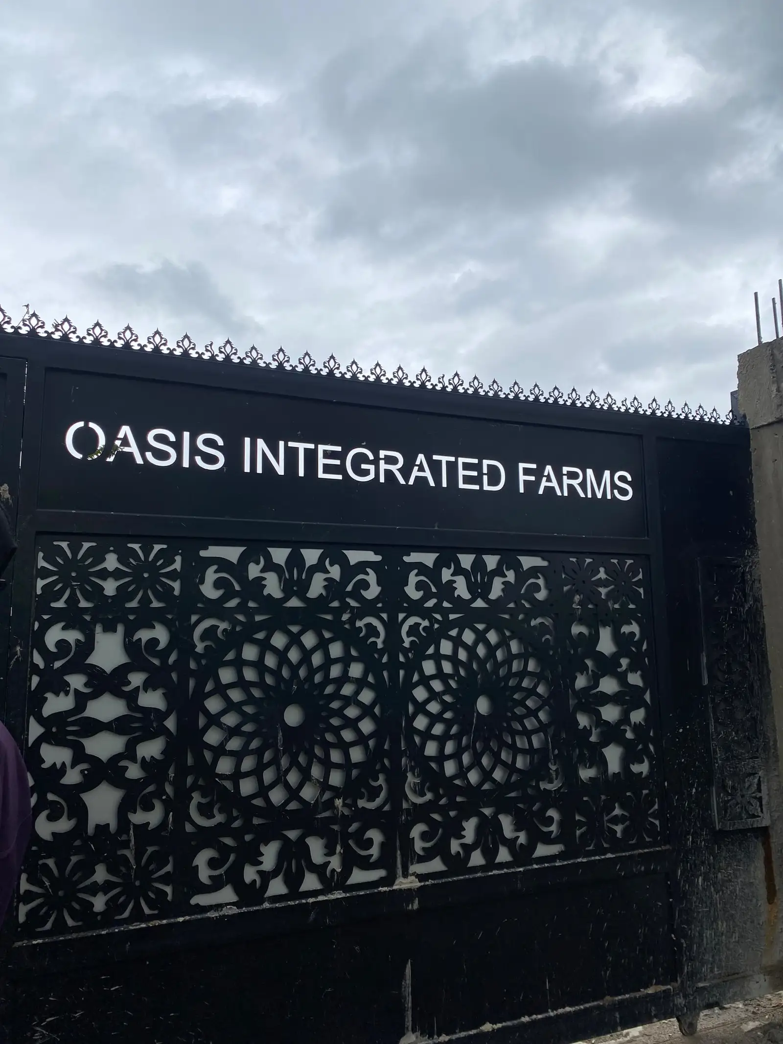 The black metal entrance gate at Oasis Integrated Farms, the farm's name in white lettering across the top.